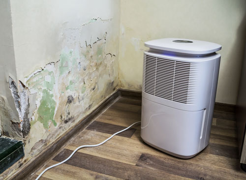 Dehumidifier drying out moldy water damage