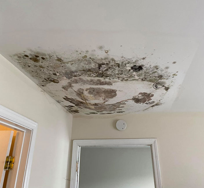 water-damage-mold-sagging-ceiling-full-of-water-fort-mill-sc