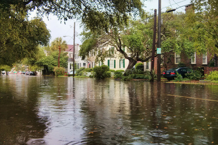 Storm Damage Cleanup: Tips for Homeowners After Your House Floods